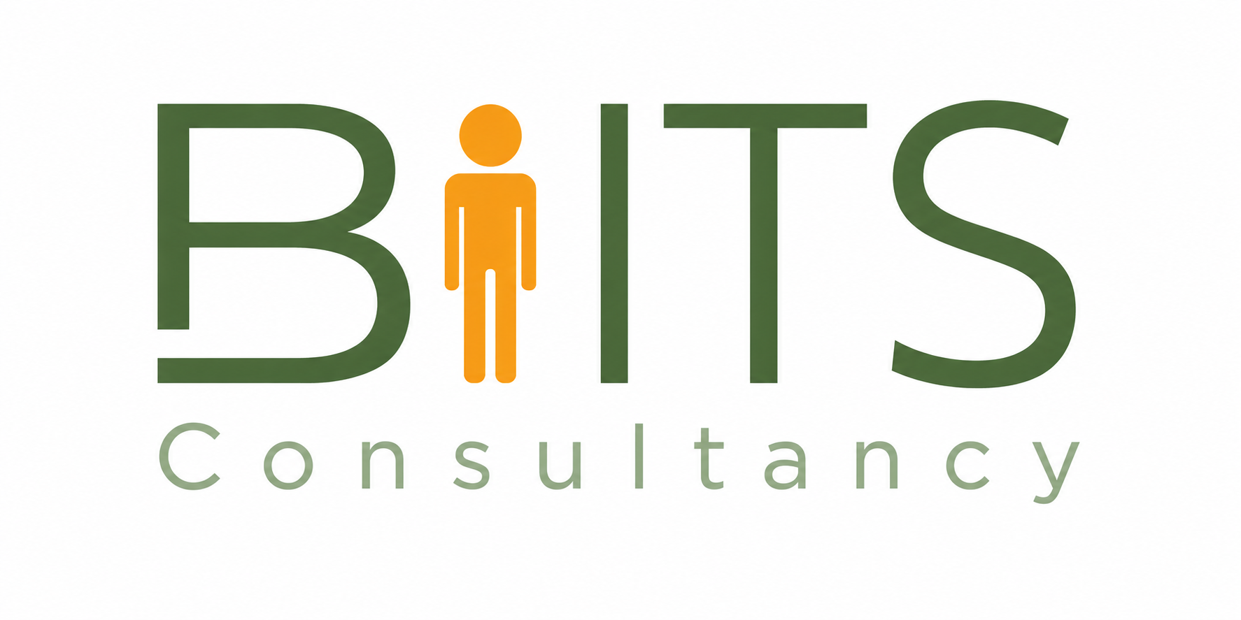 BIITS Consultancy